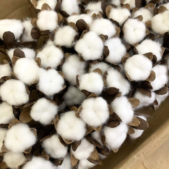 6 White Fuzzy Cotton Bolls for Crafts ~ 7/8" across